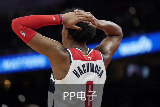 PP电子公司简介展示图